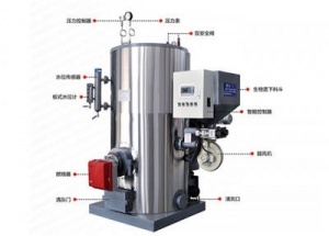 燃油气生物质两用蒸汽发生器